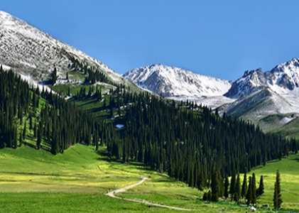 气候变化的影响：给企业和金融机构带来了机遇和风险