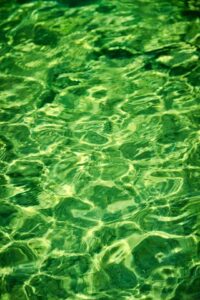 关于goESG：一份邀请，共赴可持续未来