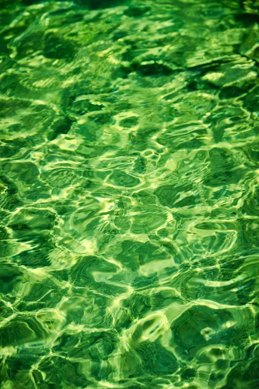 关于goESG：一份邀请，共赴可持续未来