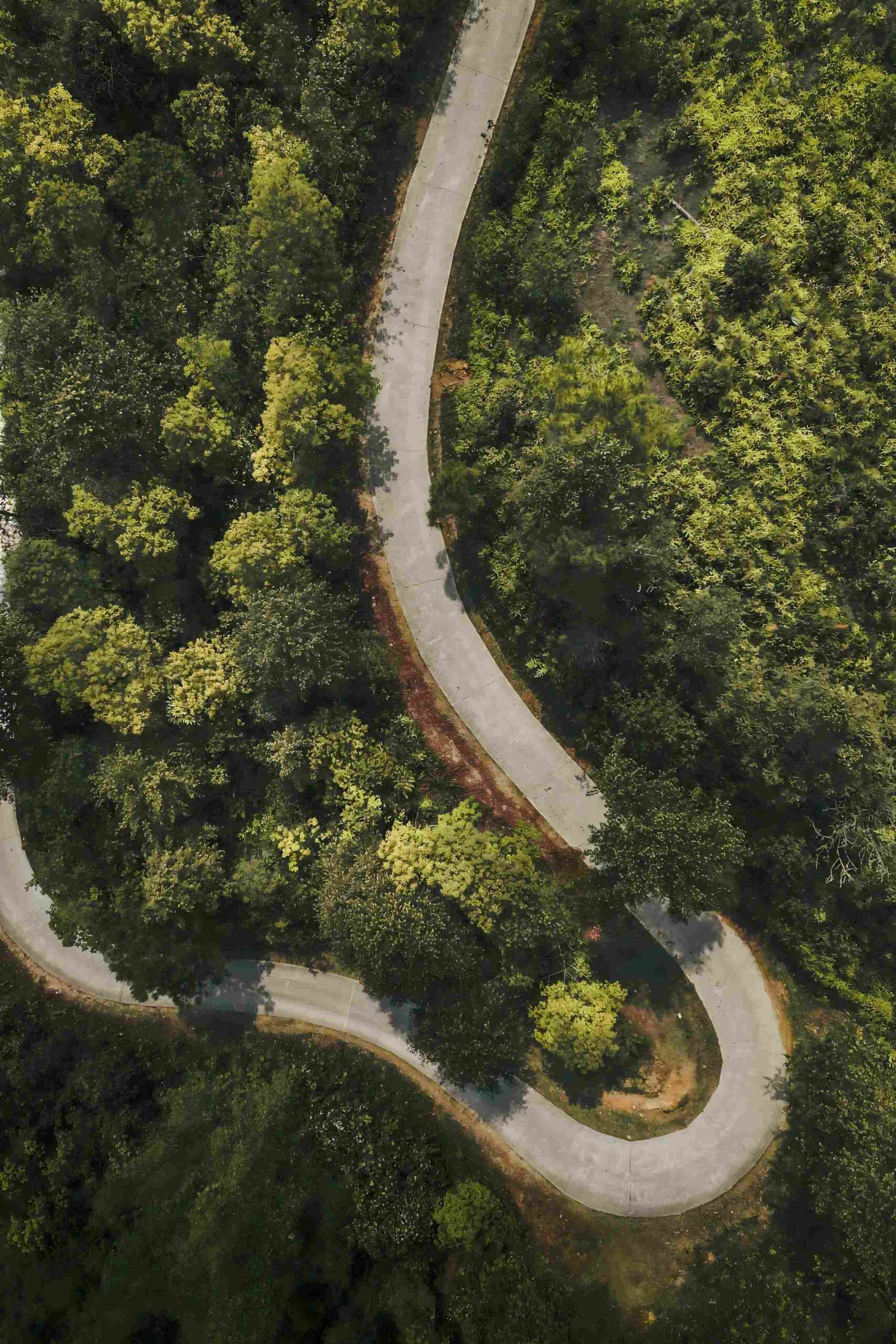 ESG研究能力如何从入门到精通？这份指南帮你系统进阶