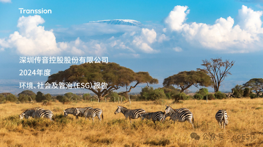 传音控股2024年ESG报告深度解析