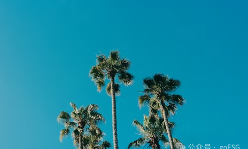 循环经济：高效资源与废弃物管理