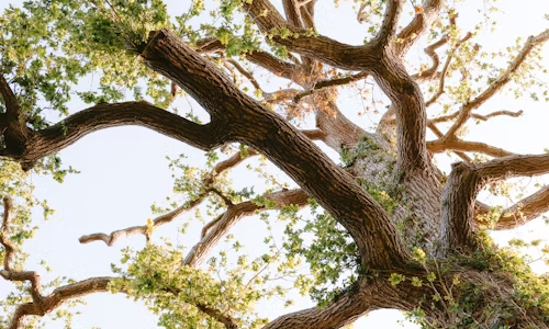 循环经济：从“废弃”到“再生”的政策密码