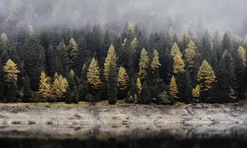 循环经济：企业落地循环经济，从规划到执行的完整路线图